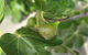 Ocean Breeze - Sleeps 12 - Pet Friendly - thumb 1