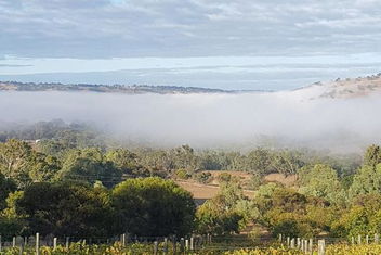Pecan Hill BNB with Accommodation WA