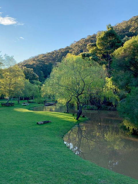 Pennyroyal Otways Retreat - Victoria Tourism 3