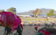 Rose Retreat With Water Front View At Montrose - thumb 3