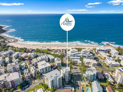 Ryson Unit 7 Kings Beach QLD - Holiday Sydney 3