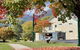 Talbingo Lodge - Selwyn Accommodation - thumb 0
