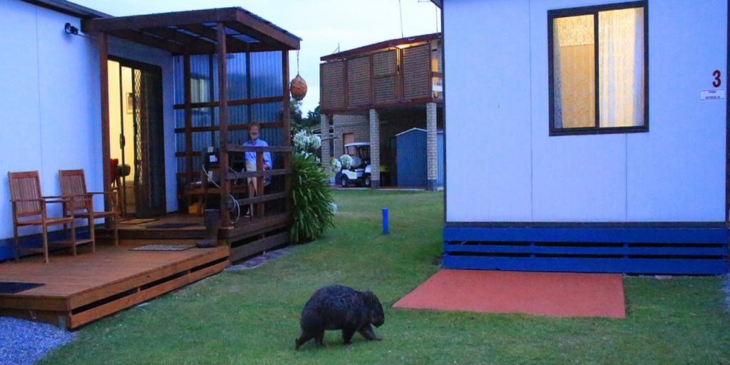 Kelso TAS Caravan Park Accommodation