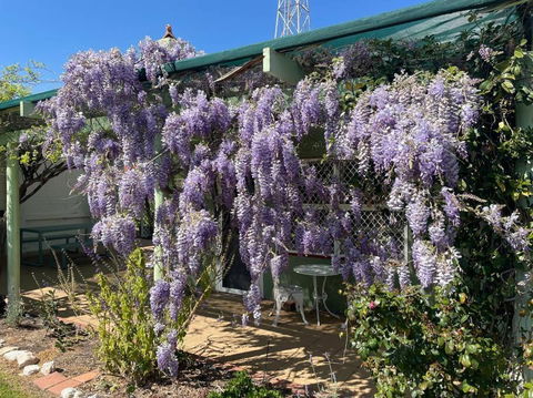 The Merredin Treasury Cottage - Holiday Sydney 1