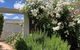 The Merredin Treasury Cottage - thumb 2