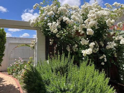 The Merredin Treasury Cottage - Holiday Sydney 2