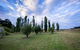 The Pine Tree Cottage - Charming Cottage Close To Canberra - thumb 1