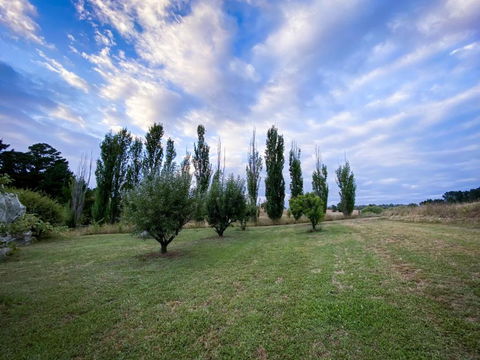 The Pine Tree Cottage - Charming Cottage Close To Canberra - Casino Accommodation 1