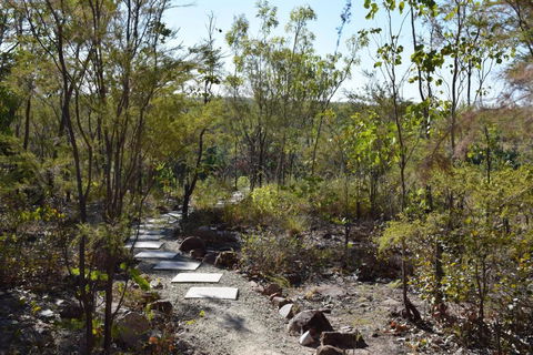 Cicada Lodge - Accommodation Australia 4