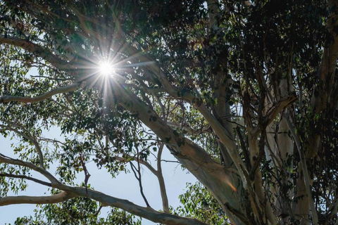 Yarramie - Accommodation Australia 1