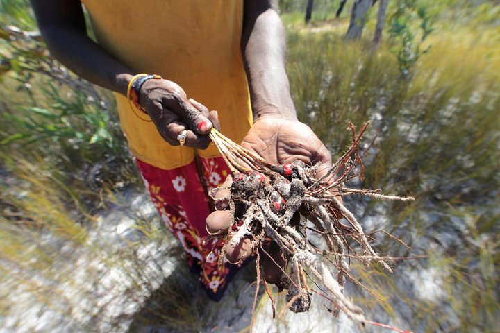 Gay-Wu Woman's 5 Day Yolngu Homeland Tour - thumb 0