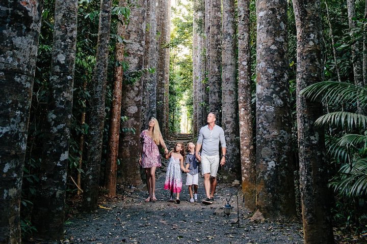 Paronella Park And Millaa Millaa Falls Full-day Tour From Cairns - thumb 5