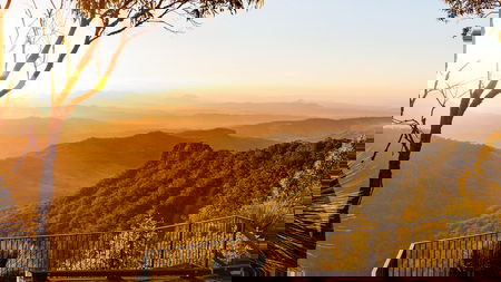 O'Reilly's  Lamington National Park incl. Alpaca Farm  Vineyard