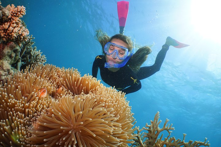 Quicksilver Outer Great Barrier Reef Snorkel Cruise From Palm Cove - thumb 2