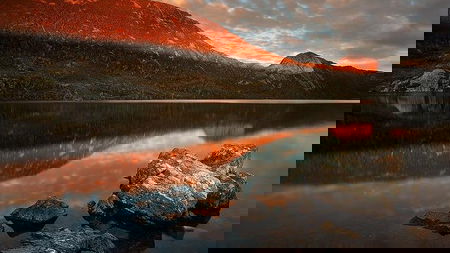 Cradle Mountain Private Charter Service
