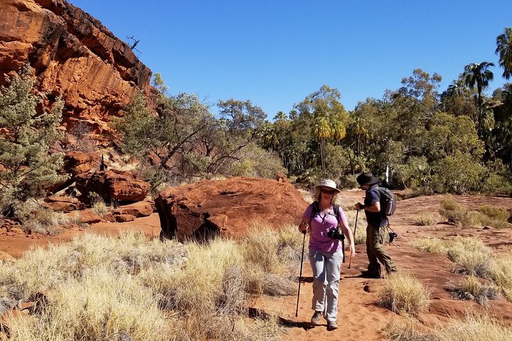 Palm Valley And Hermannsburg 1 Day 4WD Tour - thumb 1