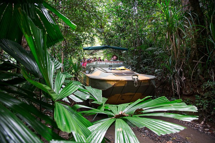 Classic Kuranda By Skyrail And Scenic Railway Including Rainforestation, Koala And Wildlife Park And Pamagirri Aboriginal Experi - thumb 4