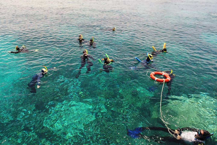 Seastar Luxury Outer Great Barrier Reef Island And Reef Tour From Cairns - thumb 2