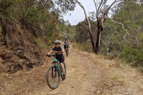 Mount Lofty Descent Bike Tour From Adelaide - Holiday Melbourne 0