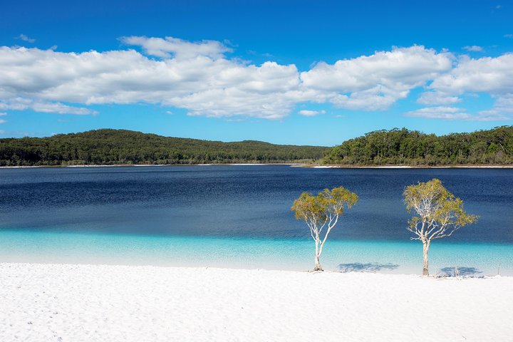 All-Inclusive Fraser Island Day Tour - thumb 3