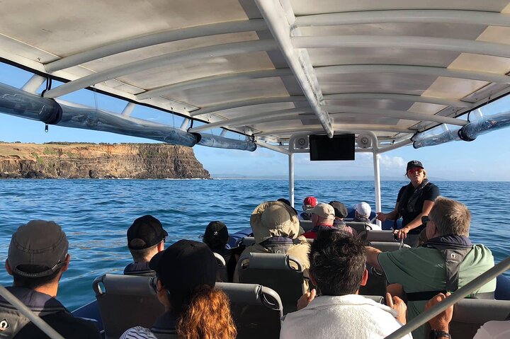 Julian Rocks Byron Bay Cruise - thumb 4