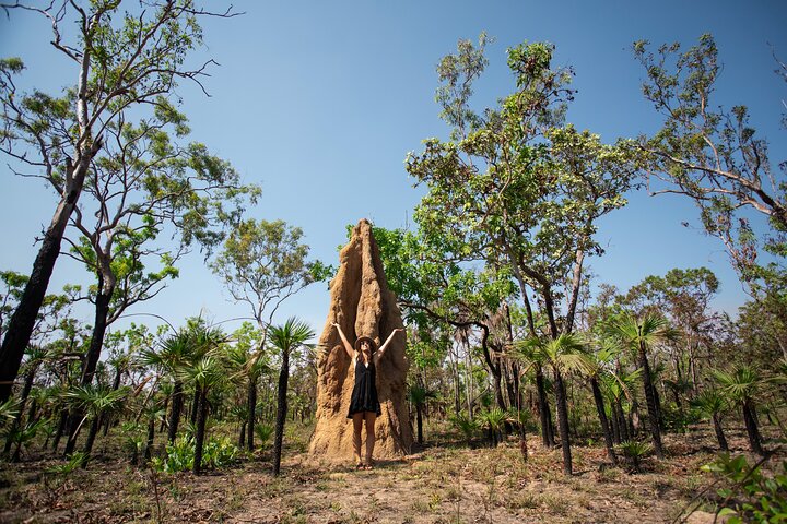 Litchfield National Park - Top End Day Tour From Darwin - thumb 5