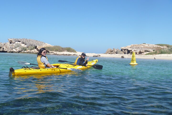 Seal Island And Penguin Island Or Point Peron Sea Kayak Tour - thumb 3
