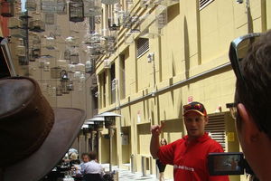 Small-Group Sydney City Walking Tour