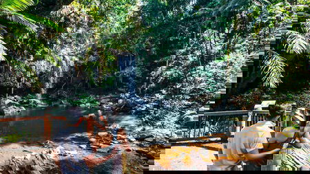 Aquaduck  Your choice of Gold Coast Rainforest Tour