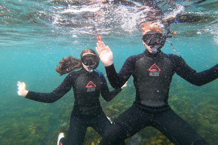 Manly Snorkel Trip And Nature Walk With Local Guide - thumb 3