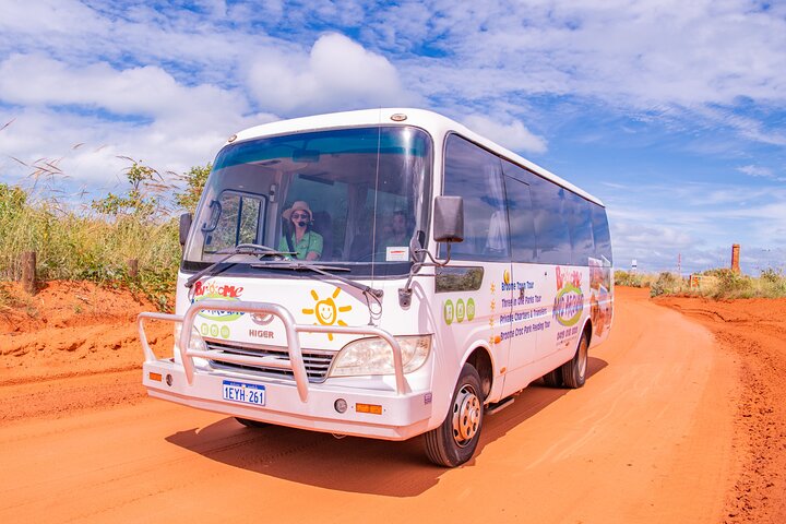 Malcolm Douglas Crocodile Park Tour Including Transportation - thumb 3