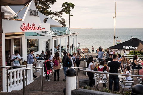 Phillip Island And French Island Wildlife Expedition - Casino Accommodation 0