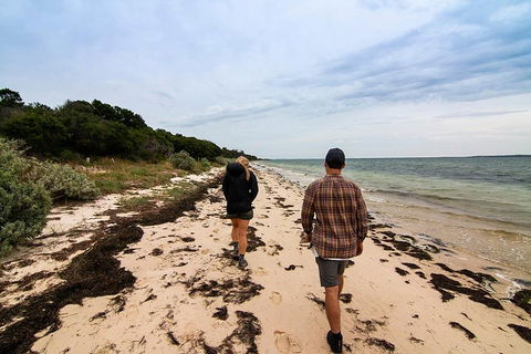 Phillip Island And French Island Wildlife Expedition - Casino Accommodation 1