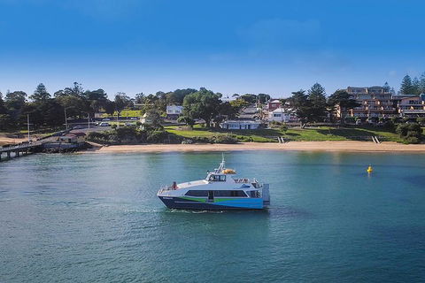 Phillip Island And French Island Wildlife Expedition - Casino Accommodation 2