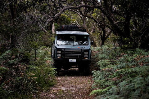Phillip Island And French Island Wildlife Expedition - Casino Accommodation 4