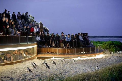 Phillip Island And French Island Wildlife Expedition - Casino Accommodation 5