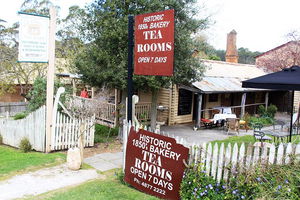 Private Southern Highlands Day Trip from Sydney including Fitzroy Falls